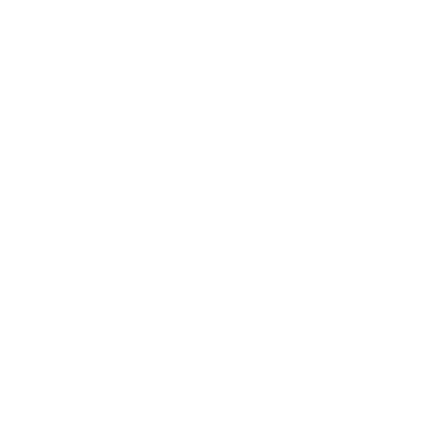 laptop screen repair